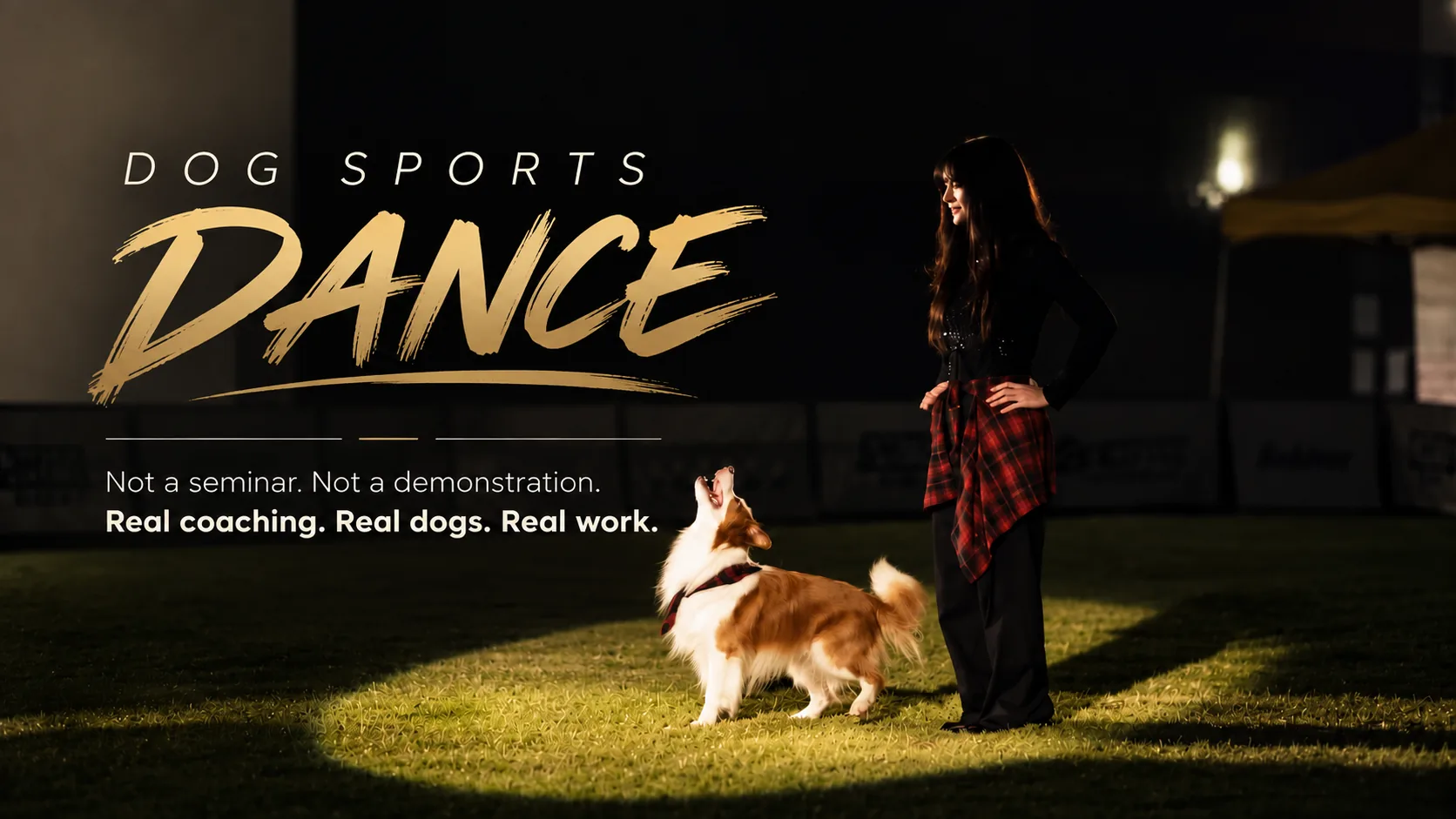 Dog Sports Dance: Jun and a border collie under a spotlight at night