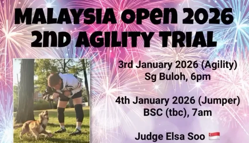 2nd Open Agility
